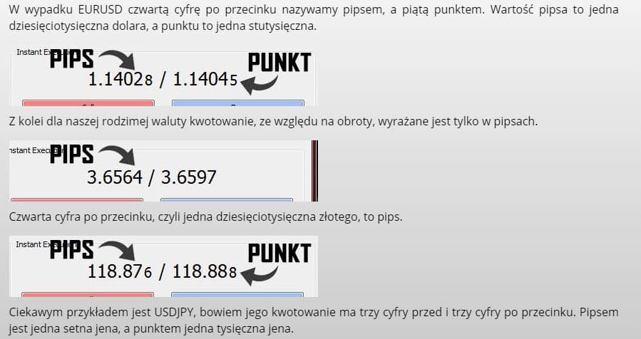Pips Punkt