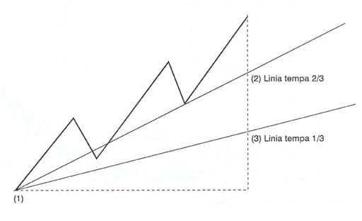 lina tempa forex
