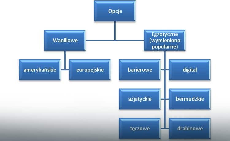opcje finansowe