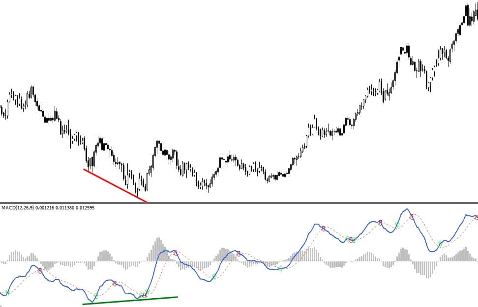 zyski na forex