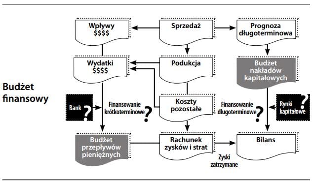 Budżet finansowy