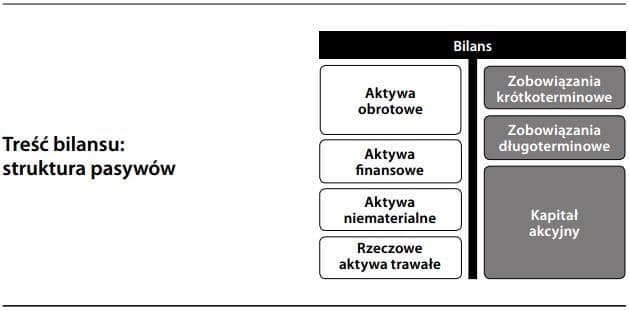 Obraz bilansu