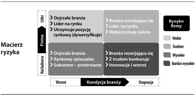 macierz ryzyka
