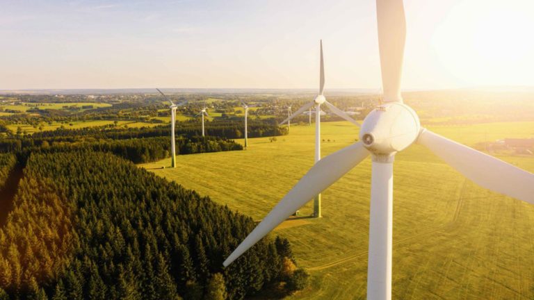 Energia z pola, czyli jak rolnictwo może wspierać rozwój odnawialnych źródeł energii