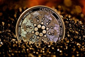 cardano moneta